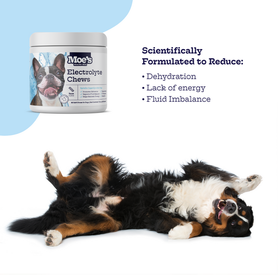 Electrolyte Chews