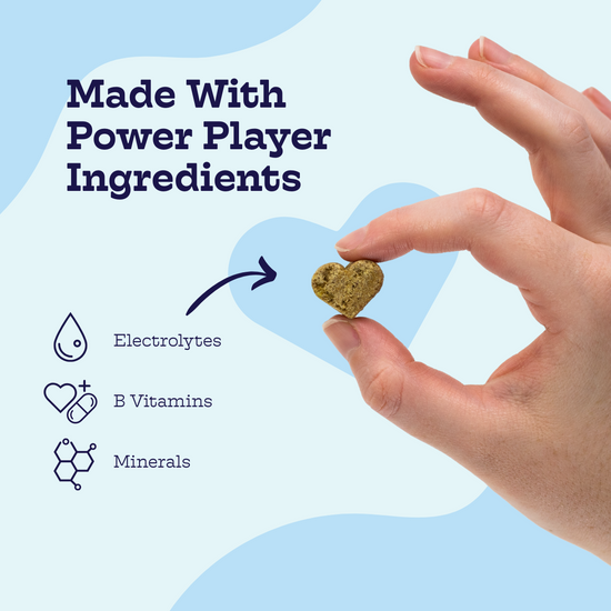 Electrolyte Chews
