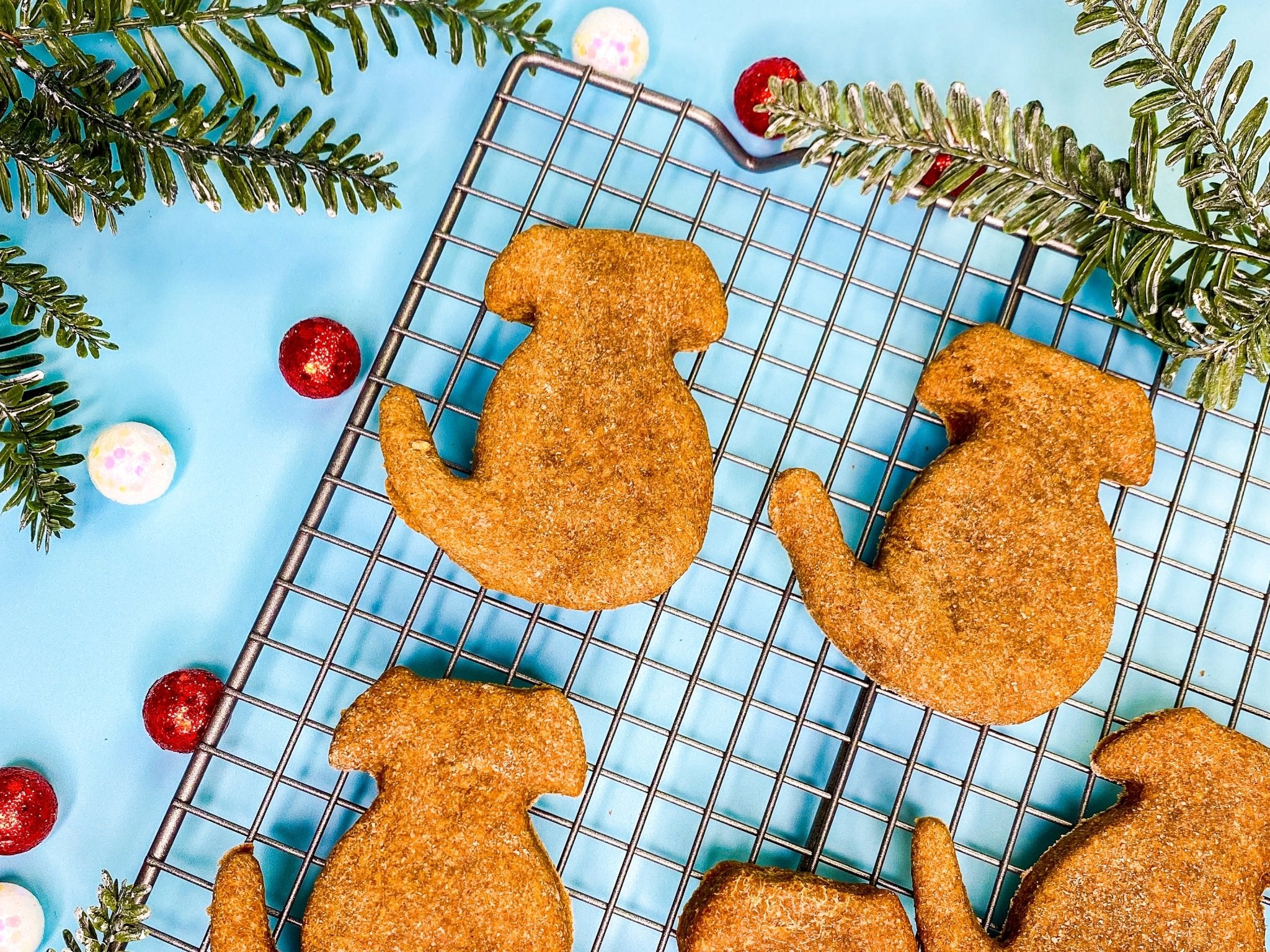 Droolworthy Gingerbread Cookies for Dogs