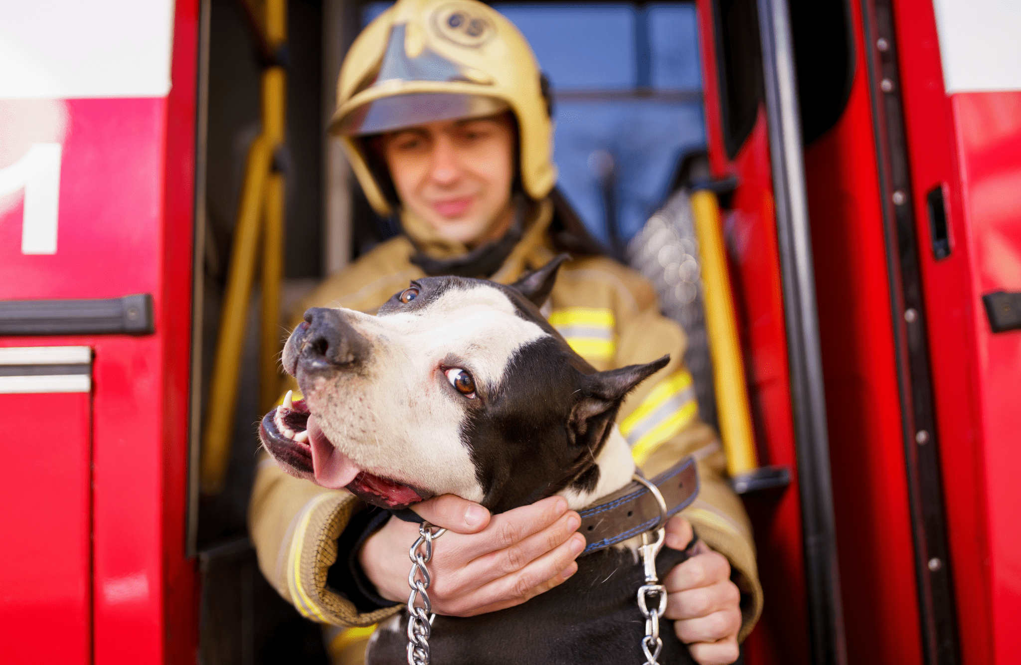 Essential Fire Safety Tips for Dogs and Dog Lovers