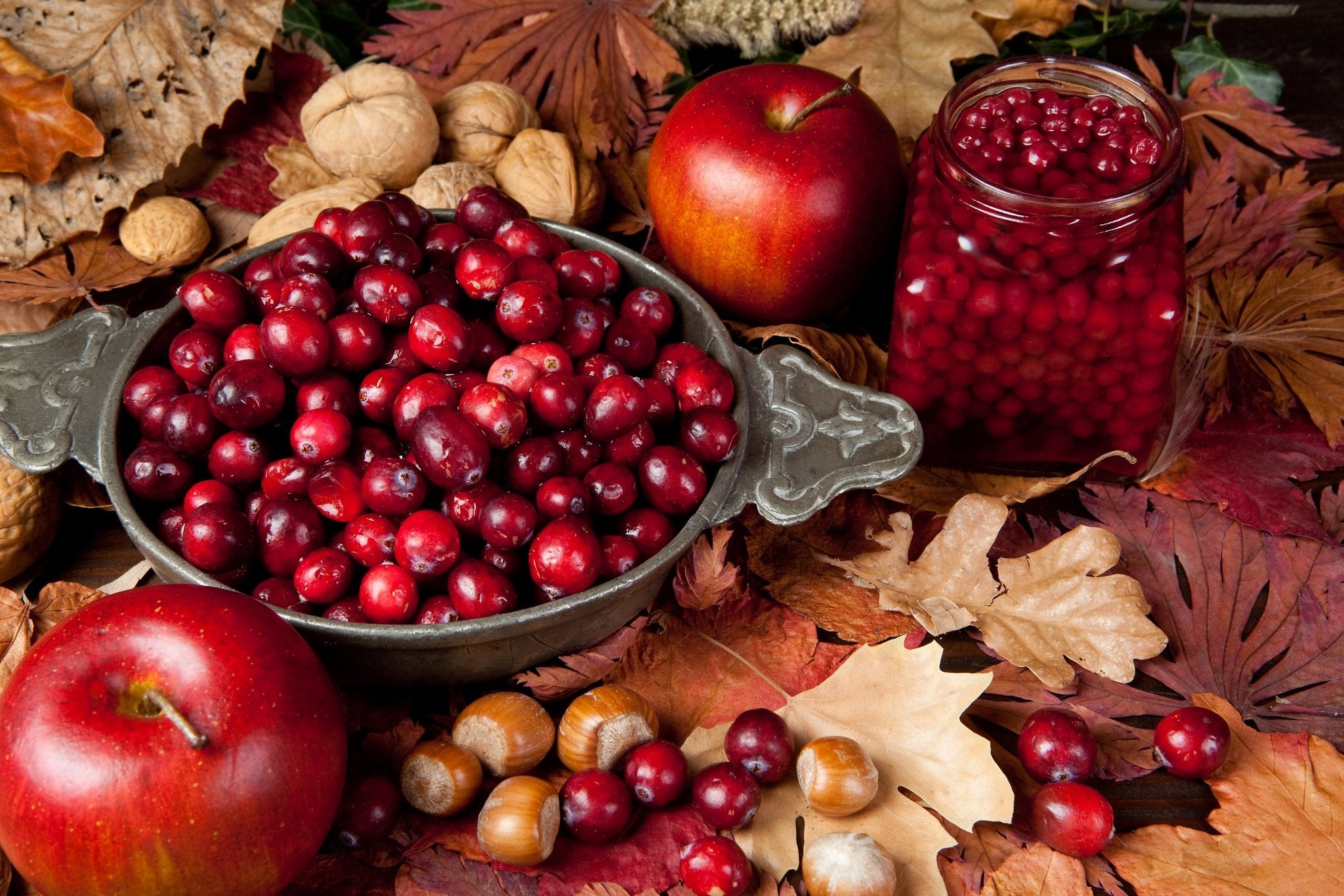 Is It Safe for Dogs to Eat Cranberries?