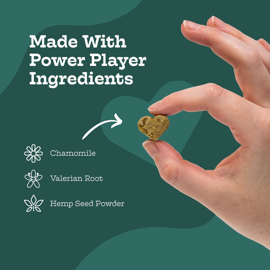 Made With Power Player Ingredients: Chamomile Valerian Root Hemp Seed Powder