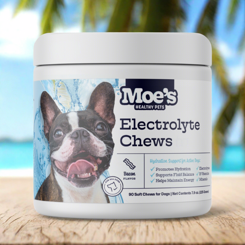 Electrolyte Chews