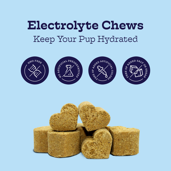 Electrolyte Chews