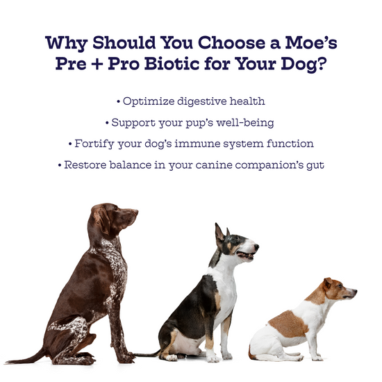 Pre + Pro Biotic Chews