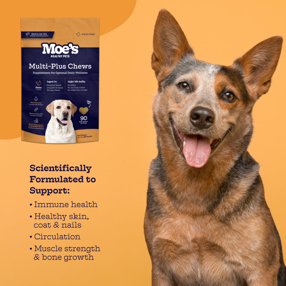 Daily multi plus for dogs online