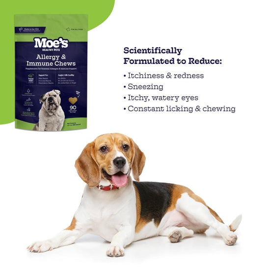 Allergy & Immune Chews - Moe's Healthy Pets